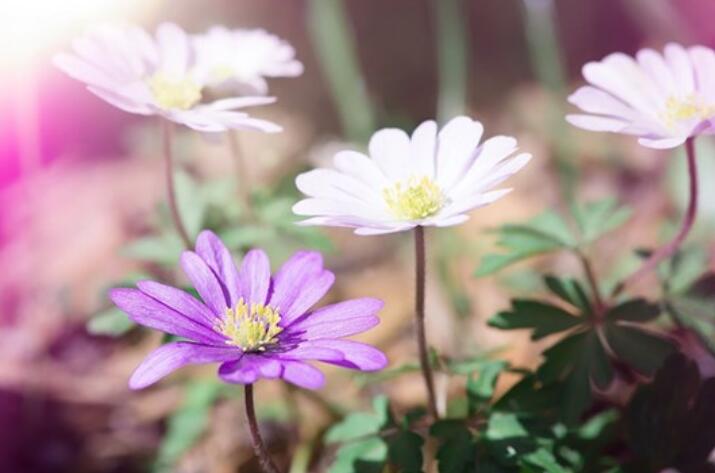 问早上好的幽默句子文案