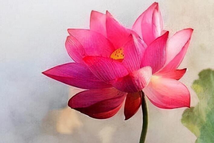 正能量签名简短