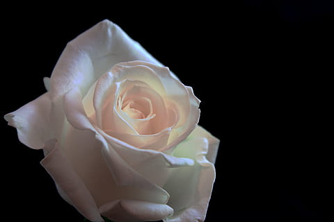 情侣宣言短句子文案两人