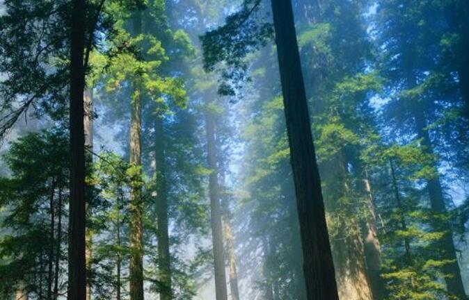 美文短句摘抄鼓励