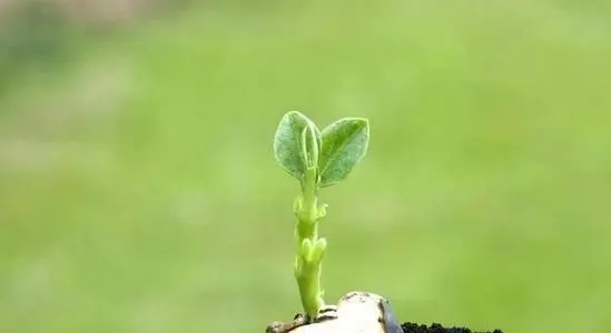 名著中的励志语录文案