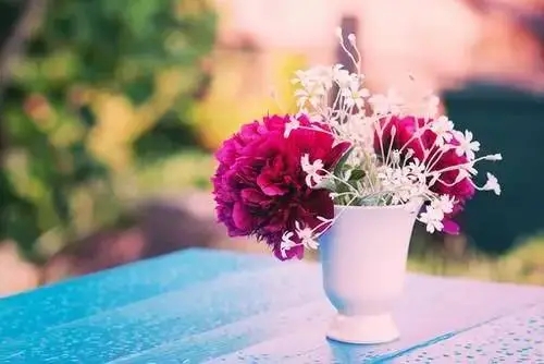 用花来表达爱情句子文案