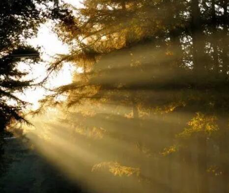 描写阳光女生的句子文案