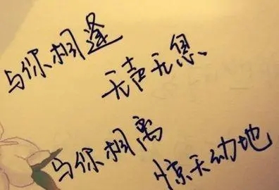 表示不想错过一个人的句子文案