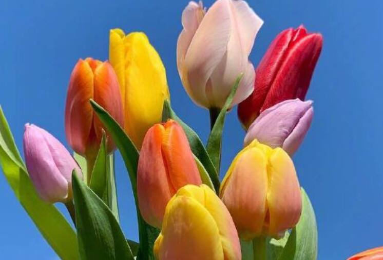 最新微信早安问候语大全