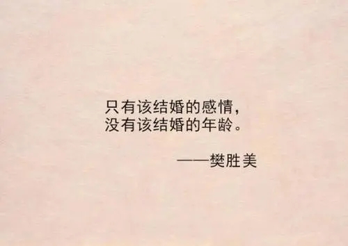 我终于学会了放手经典句子文案