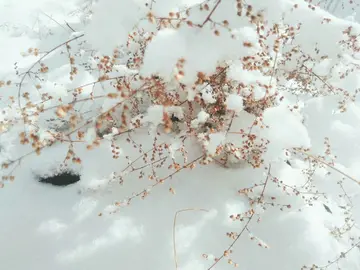 活成自己喜欢的样子经典语录文案