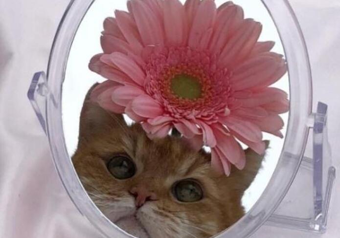 经典深度好句文案