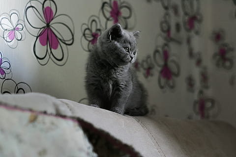 撩人的土味情话文案