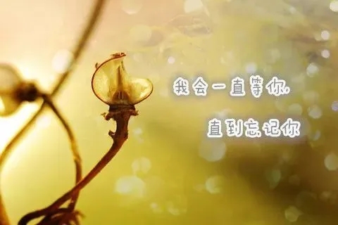 我会一直等你的句子文案