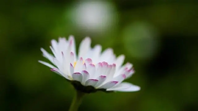 致自己好心情哲理短句