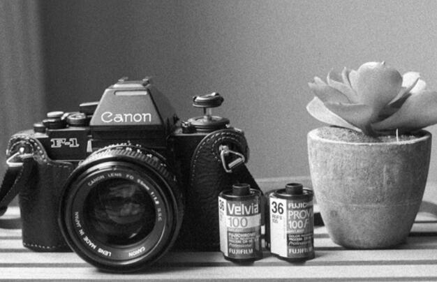 关于拍照留念的唯美句子文案