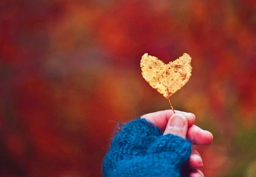 形容一个人不懂珍惜的句子文案