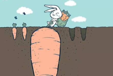 传递正能量的精美句子文案