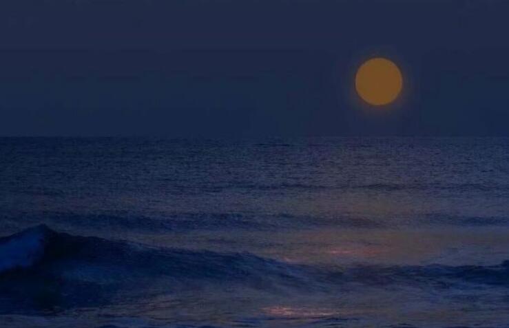 简短浪漫的个性签名