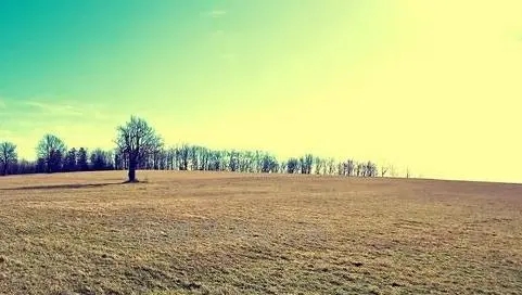 名家哲理性句子文案