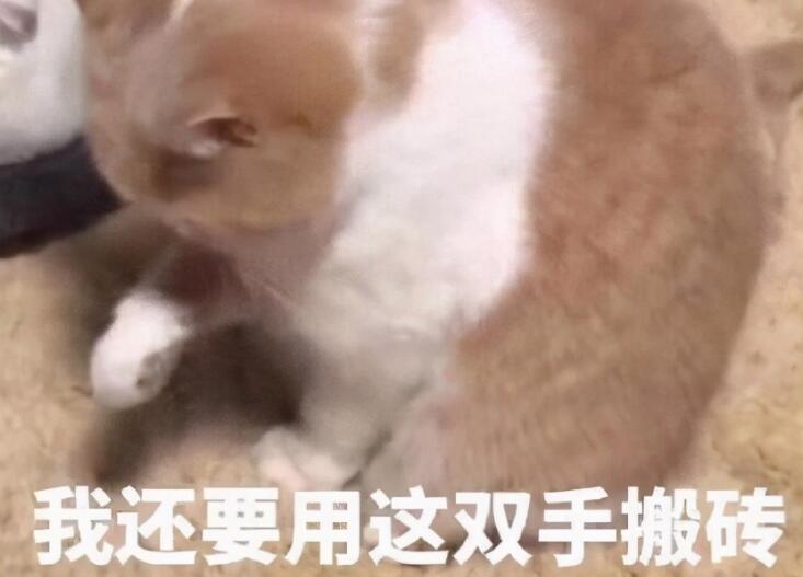 结束一周工作的朋友圈