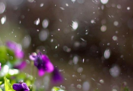 下雨天有意境的诗词