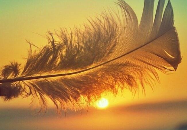 努力上进的文案句子