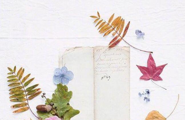 积极正能量句子文案简短