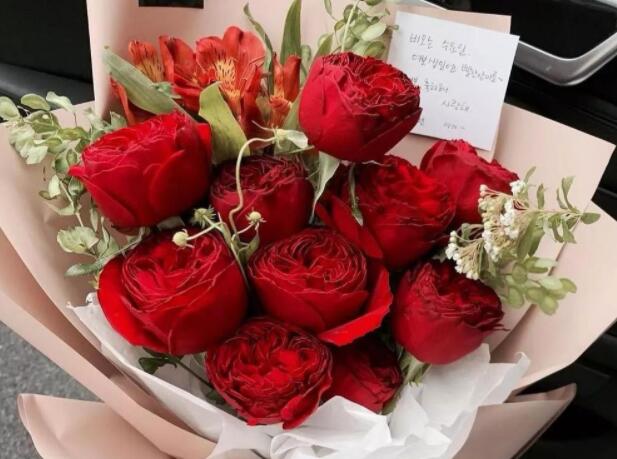 玫瑰的经典语录文案