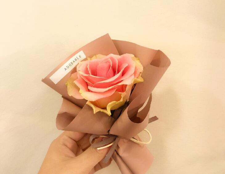 早安2024最新句子文案