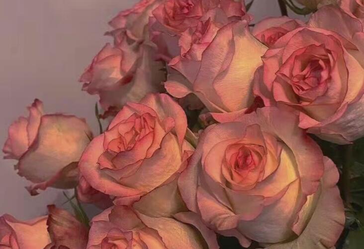 情侣甜蜜情话文案短语