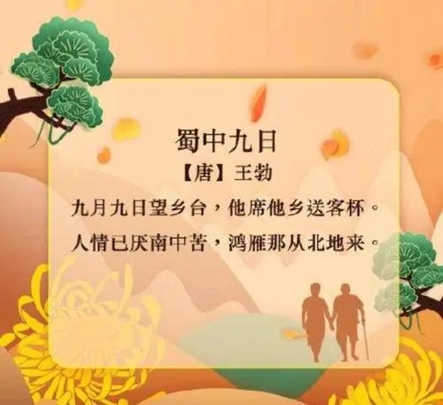 重阳节的诗句文案