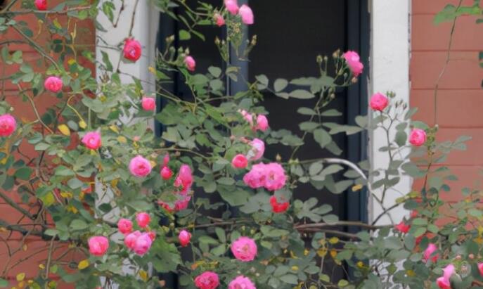 讽刺爱情的绝好句子文案