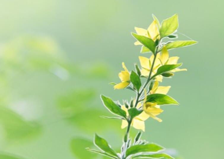 委屈到哭的说说文案可怜