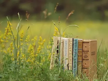 回顾校园的句子文案说说心情