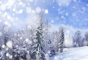喜欢雪景的句子文案
