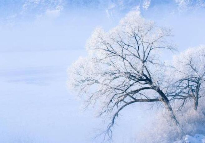 描写冬天的句子文案8个字