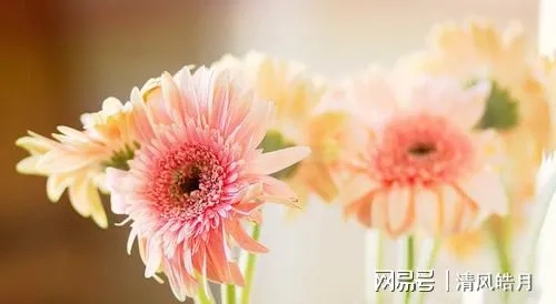 形容悲伤的句子文案