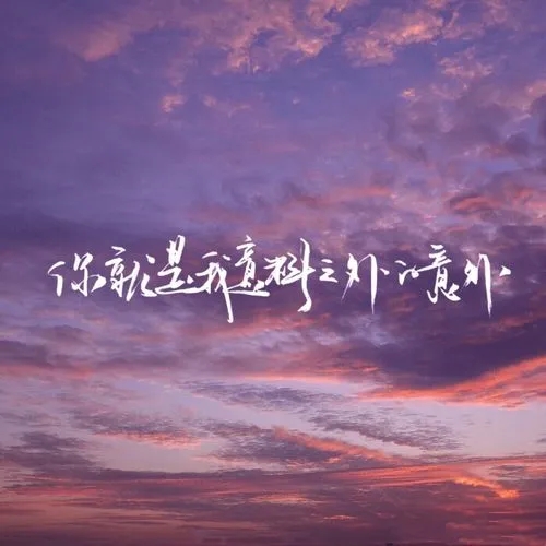 撒野句子文案摘抄