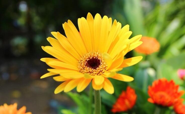 微商早安短句配图正能量