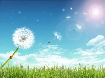 80后创业励志语录文案