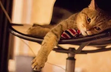 郁闷的说说文案