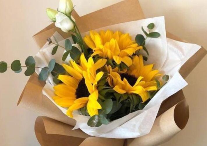 早上好的祝福语