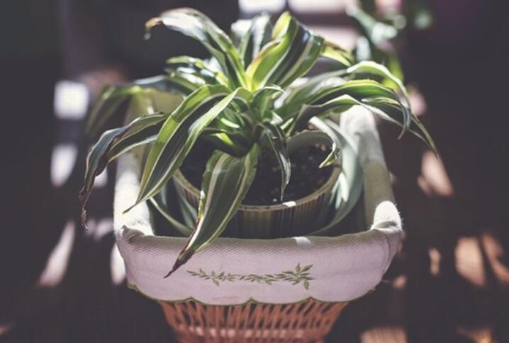 光明励志句子文案