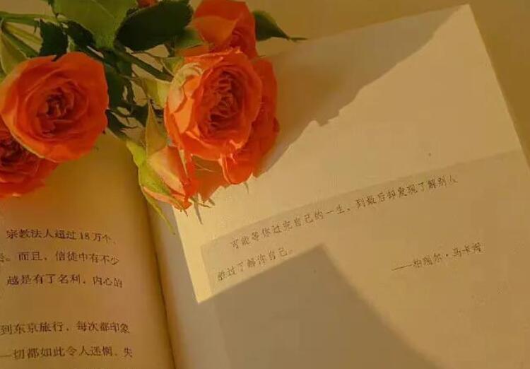 文艺惊艳句子文案