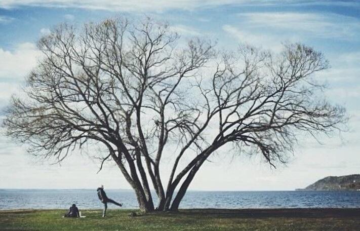 人生态度的句子文案