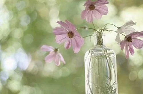 夸自己公司优秀的句子文案