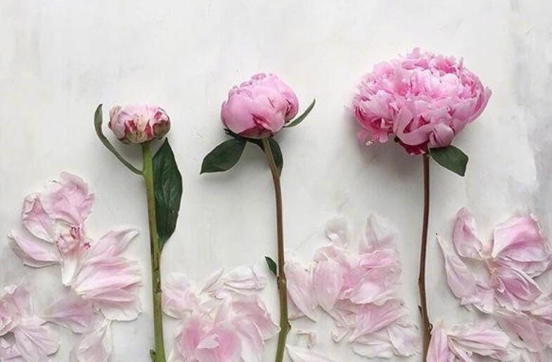 女人潇洒疯狂的句子文案