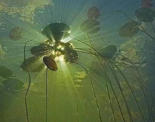 交人交心的朋友圈说说文案