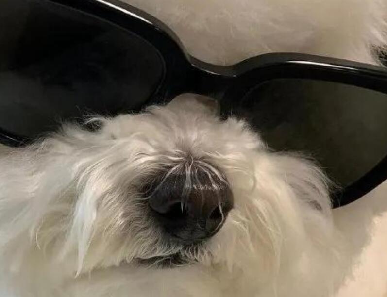 女生适合发的憨憨句子文案