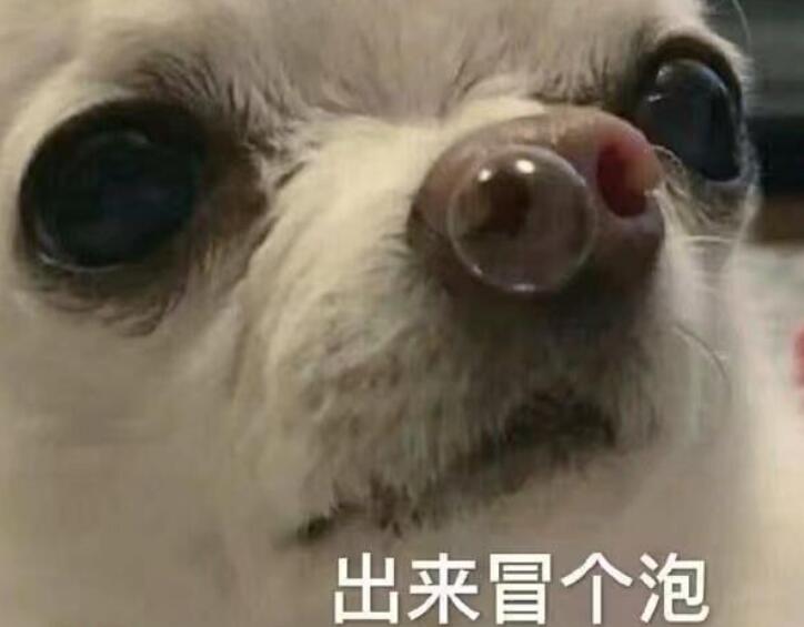 出来冒个泡的心情句子文案