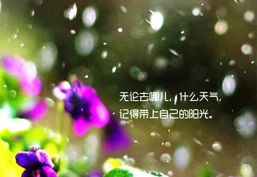 环境好心情好的句子文案