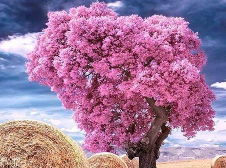 爱到深处的经典一句话