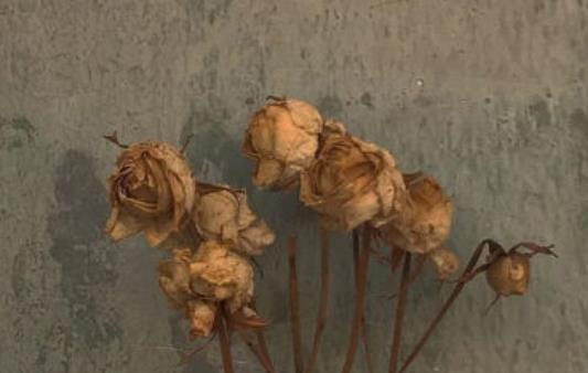 不快乐句子文案10字